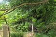 Tirane For Sale Land  Lanabregas, Tirana Building Plot Agricultural Land