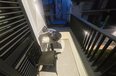 Tirane Qera Apartament 2+1 Apartament 2+1 prane Qytetit Studenti apartament kat vile