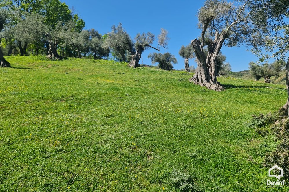 Tirane For Sale Land  The land is positioned near TEG Building Plot