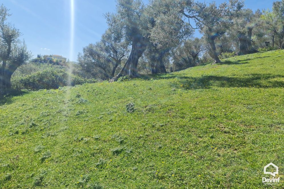 Tirane For Sale Land  The land is positioned near TEG Building Plot