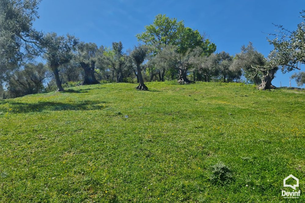 Tirane For Sale Land  The land is positioned near TEG Building Plot