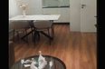 Tirane For Rent Apartment 1+1 1+1 apartment for rent on Xhanfize Keko Street Apartment