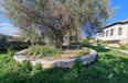Durres Shitje Hotel  Shenavlash hotel restorant bujtine toke per agroturizem