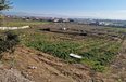 Durres Shitje Hotel  Shenavlash hotel restorant bujtine toke per agroturizem