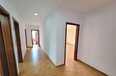Tirane Qera Zyre 3+1 Zyre me qera ne Rrugen Elbasanit apartament zyre