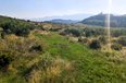 Tirane For Sale Land  Priske e Madhe, Dajt Building Plot Agricultural Land toke per agroturizem