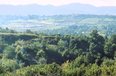 Tirane For Sale Land  Priske e Madhe, Dajt Building Plot Agricultural Land toke per agroturizem