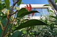 Durres For Sale Villa  San Pietro Resort & Residences, Lalezi Bay Villa bregdet Residential Complex Booking/AirBnB