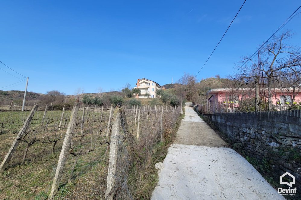 Tirane For Rent Villa Me shume se 4 dhoma Villa in Vishaj area, Tirana Villa