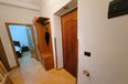 Tirane For Rent Apartment 1+1 Apartment in the center on Myslym Shyri Street Apartment