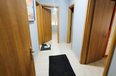 Tirane Qera Apartament 3+1  apartament