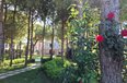 Durres For Sale Villa  Residential Complex Lura 1, Lalezi Bay Villa bregdet Residential Complex