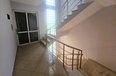 Tirane For Rent Villa Me shume se 4 dhoma Villa for rent in Selita area, Tirana Office Villa Office shkolle kursesh Villa klinke